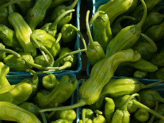 Organically grown peppercinis a ready for sale at the local farmer's market.