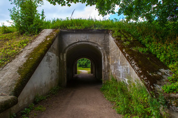 The tunnel is overgrown with grass.
