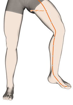 Drawing Acupuncture Point SP11 Jimen, 3D Illustration