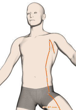 Drawing Acupuncture Point SP11 Jimen, 3D Illustration