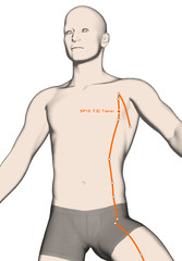 Drawing Acupuncture Point SP18 Tianxi, 3D Illustration