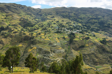 Fototapeta na wymiar View of fields in the way to Huanuco, Peru