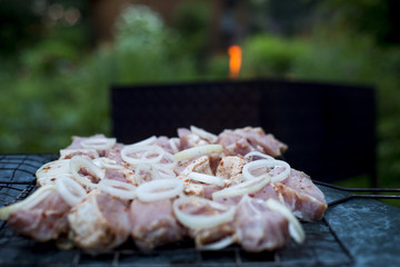 Skewers of pork meat in a saucepan