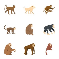 Monkey icon set, flat style © ylivdesign