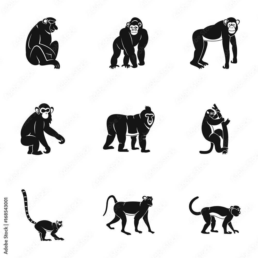 Poster monkey icon set, simple style