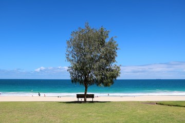 Fototapeta na wymiar Holidays at Scarborough Beach in Perth Western Australia, Australia 