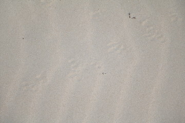 Holidays at Scarborough Beach in Perth Western Australia, Australia 