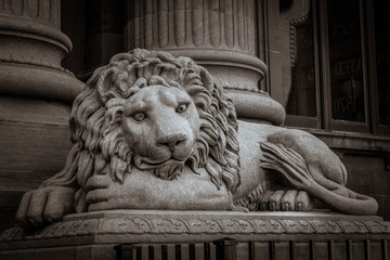 Guarding Lion
