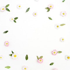 Floral frame made of white and pink chamomile daisy flowers, green leaves on white background. Flat lay, top view. Daisy background. Frame of flower buds.