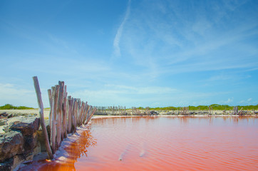 Naklejka premium lago sal