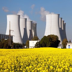Nuclear power plant and field of rapeseed