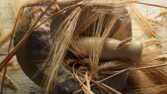 C&eacute;r&eacute;ale Korn Cereal &Delta;&eta;&mu;&eta;&tau;&rho;&iota;&alpha;&kappa;ά Zboża Vilja Video Cereali Drithi Obilniny S&auml;desslag Հացահատիկային Žitarice բույսեր Cereale Graan Cereals Grano דגנים Frumento 谷物 Getreide 