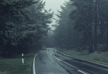 Fototapeta premium Road Through A Forest With Morning Fog. Color Toning