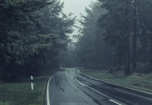 Fototapeta Road Through A Forest With Morning Fog. Color Toning