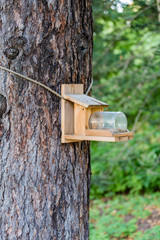 Wooden bird feeder hanging in the green summer park
