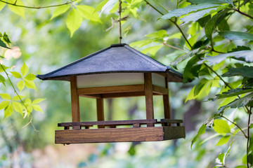 Wooden bird feeder hanging in the green summer park
