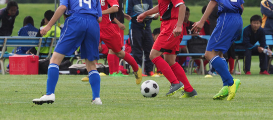 Fototapeta premium サッカー フットボール