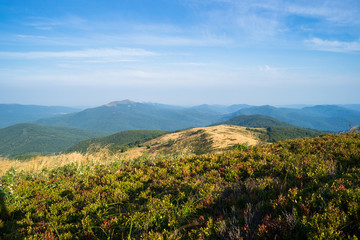 Bieszczady. Widok z bukowego Bereś na połoninę Caryńską