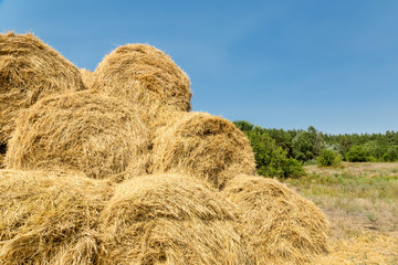 Bales of yellow golden straw stacked in a pile at the farm