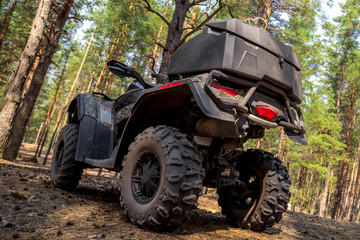Fototapeta na wymiar ATV Quadbike in a pine forest