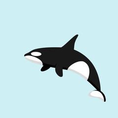 Fototapeta premium Killer whale, illustration in flat style on a blue background