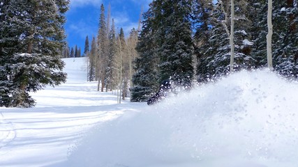 Pow Day