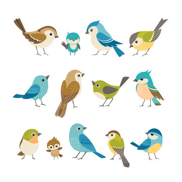 Cartoon Sparrow Images – Browse 12,264 Stock Photos, Vectors, and Video |  Adobe Stock