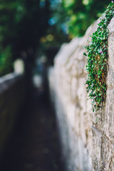 A little green on a lot of grey