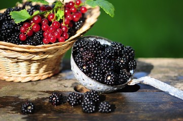 Fresh blueberries, garden berries, crops