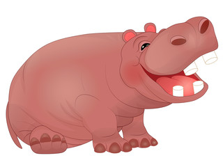 Fototapeta premium cute laughing hippopotamus