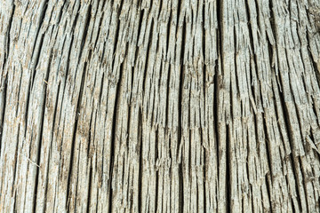 Dark texture of old natural wood with cracks from exposure to sun and wind