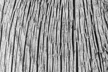 Dark texture of old natural wood with cracks from exposure to sun and wind