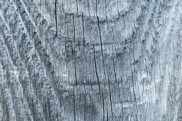 Fototapeta premium Dark texture of old natural wood with cracks from exposure to sun and wind