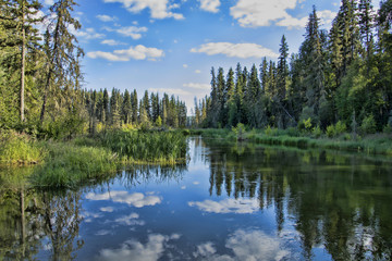 Fototapeta na wymiar Tranquil late afternoon at the trailhead to the hiking trail to Grey Owl's cabin at the mouth of Waskesiu lake in Prince Albert National Park in Saskatchewan, Canada. 