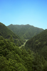 Fototapeta premium 深山渓谷