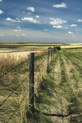 Fototapeta na wymiar Alberta prairie landscape with barbed wire fence 