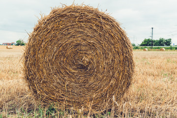 Hay bale