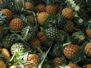 pineapples for sale in maket becourse over supply in this  year
