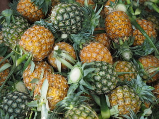 pineapples for sale in maket becourse over supply in this  year