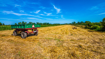 Fototapeta na wymiar Old green trailer on the field. Harvest time. Poland