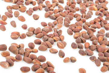Cedar pine nuts