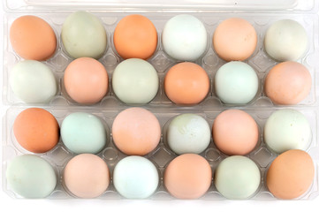 chicken eggs with different color in the container