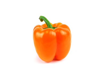single pepper in orange color on white background