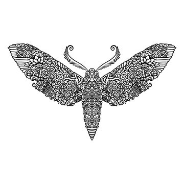 Night butterfly adult coloring book. Vector illustration. Anti-stress coloring. Zentangle style. Black and white sketch. Vector illustration. Asian pattern.