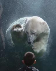 Fotobehang Ijsbeer Child's unexpected encounter  with a curious polar bear 3  © Steve