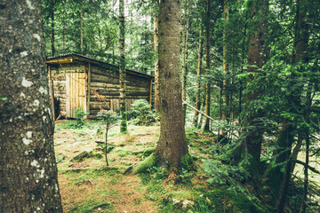 old wooden barn in the middle of the forest