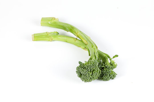 Green Baby Broccol