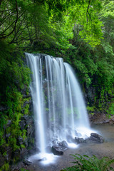 Fototapeta na wymiar 日本の滝、長野県、上田市、菅平高原。