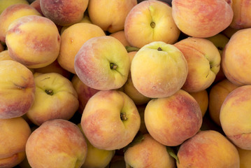 Crate of fresh ripe BC peaches
