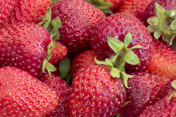 Close up of Fresh Red Strawberries